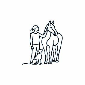 Lijntekening van foto